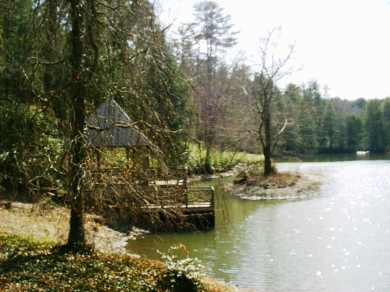 Free stock image of Biltmore estate bass pond created by Maria Kuroshchepova