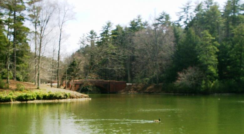 Free stock image of Biltmore estate bass pond created by Maria Kuroshchepova