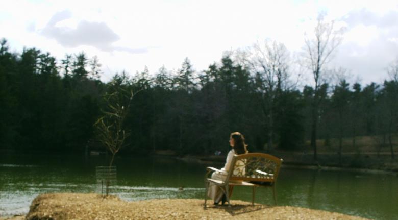 Free stock image of Biltmore estate bass pond created by Maria Kuroshchepova