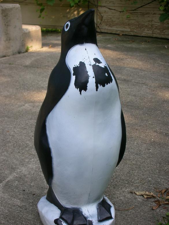 Free stock image of Proud Plastic Penguin created by Elliot Nevills