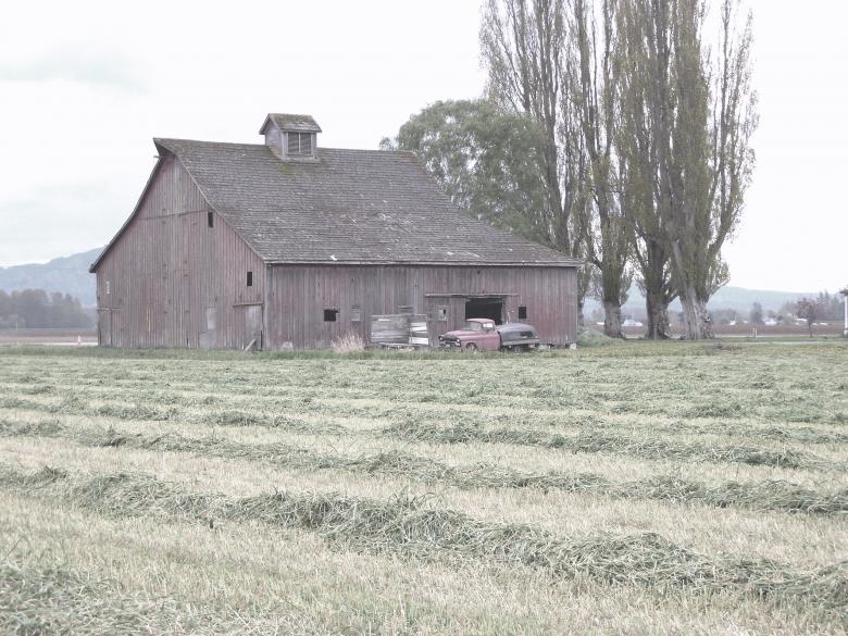 Free stock image of Old Barn created by skaanland