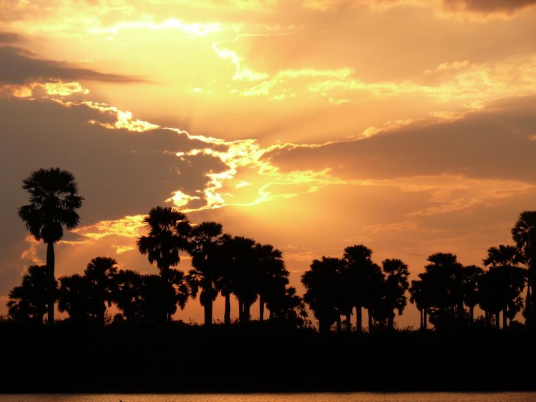 Free stock image of African sunset silhouette created by John Metzger