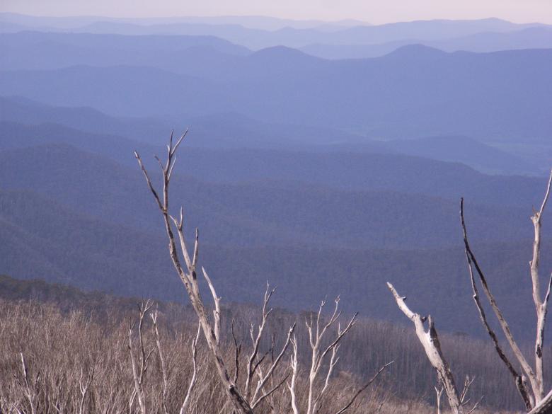 Free stock image of View form MT Bogong created by Alec Stewart