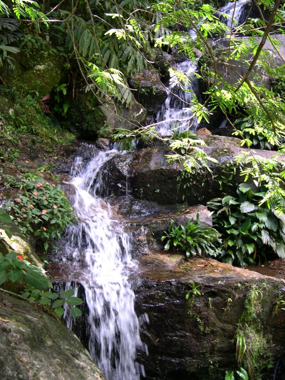 Free stock image of Waterfall created by Jackie Skeate