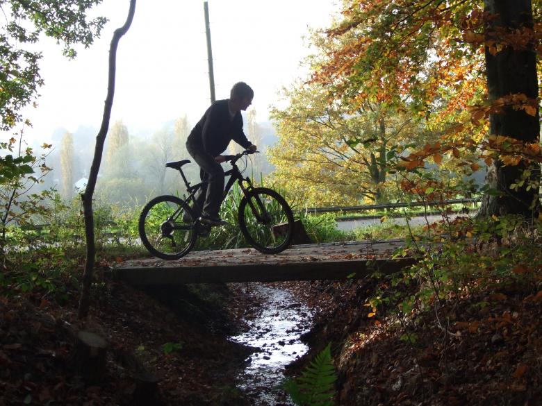 Free stock image of Cycling through the forest created by Joe Shannon