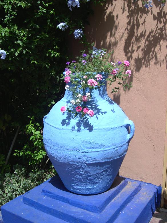 Free stock image of Flowers in blue pot created by Jackie Skeate