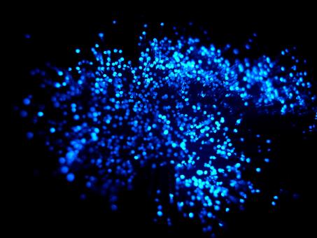 Scattered blue lights - Free Stock Photo