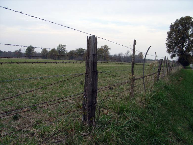 Free stock image of Barbed wire fence created by Justin Mandrell