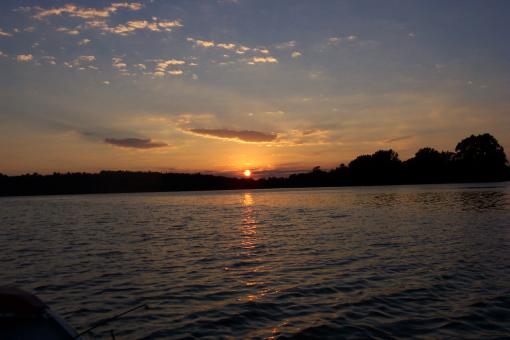 Free Stock Photo of Rice lake am
