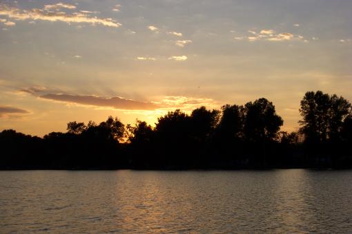 Free Stock Photo of Rice lake