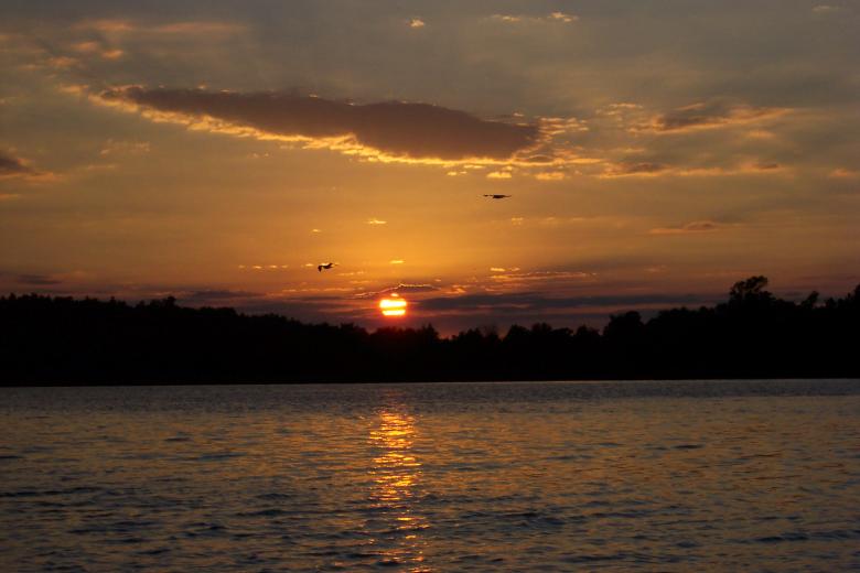 Free stock image of Rice lake sunset created by michael hurst