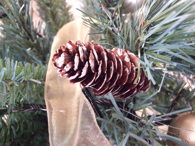 Free stock image of christmass decorations created by Joe Shannon