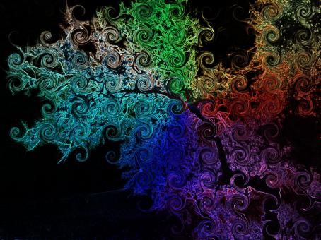 Curls - Free Stock Photo
