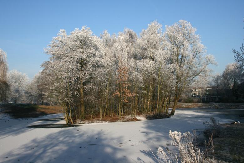 Free stock image of Winter created by Rob