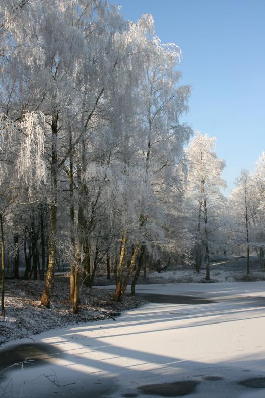 Free stock image of Winter created by Rob