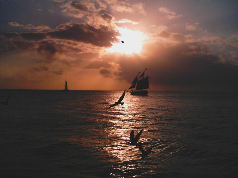 Free stock image of Mallory Square sunset celebration created by Crystal Davis