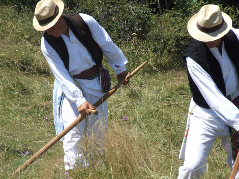 Free stock image of Hay-maker created by Ivan