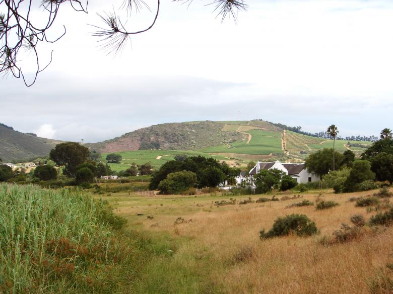 Free stock image of The farm created by Charl Christiani