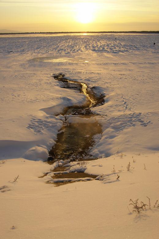 Free stock image of Water stream in the snow created by Dmitry
