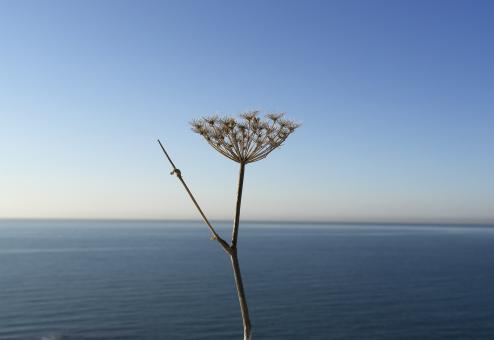 Significant - Free Stock Photo