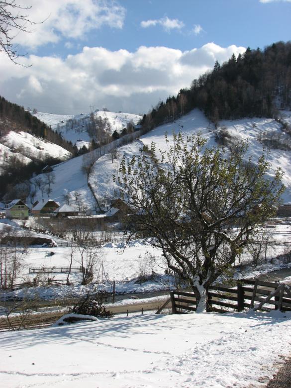 Free stock image of Sunny winter day created by catalina cirimpei