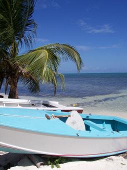 Boats on the shore - Free Stock Photo