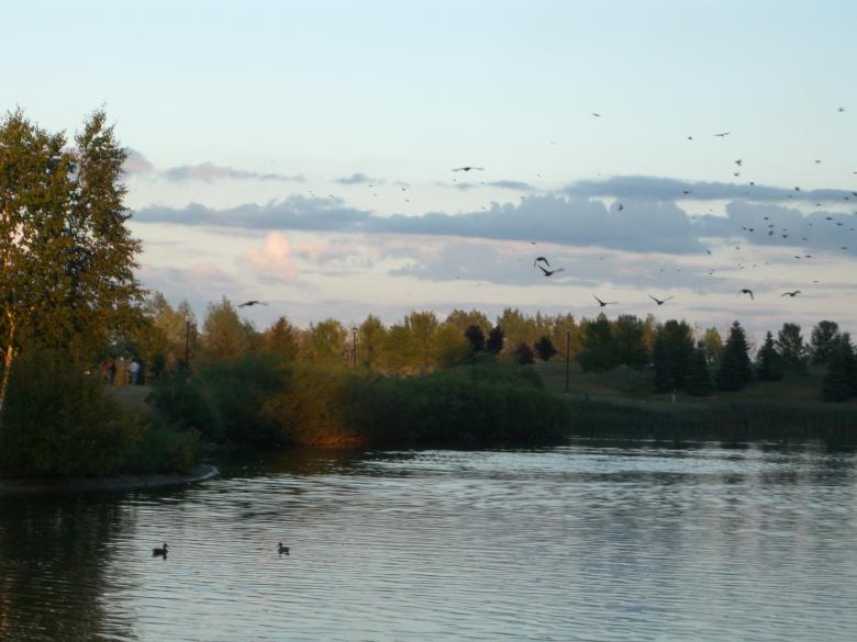 Free stock image of The lake created by Simon Wong