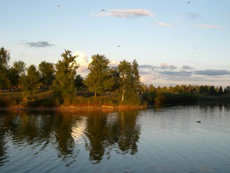 The lake - Free Stock Photo