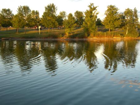 The lake - Free Stock Photo