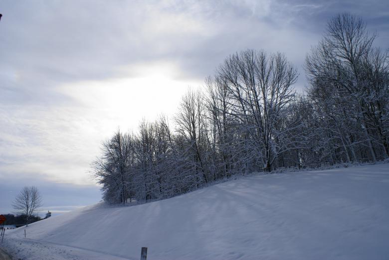 Free stock image of Snow covered created by Pamala Ramsey