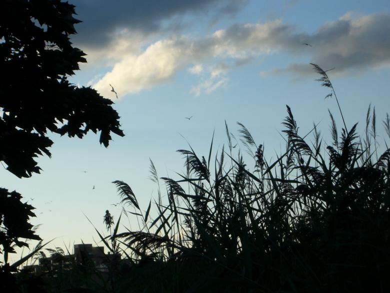 Free stock image of The sky created by Simon Wong