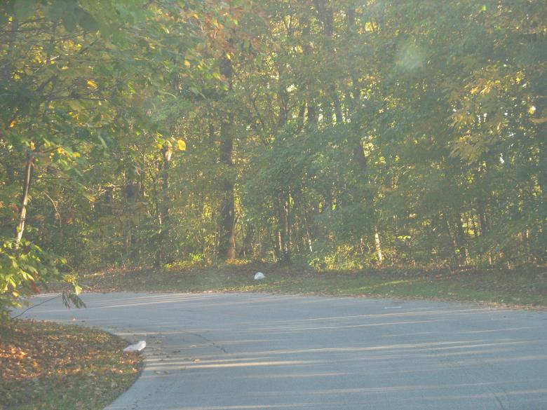 Free stock image of Outdoor nature created by Pamala Ramsey