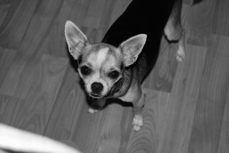Free stock image of Keyta created by Cheryl Recca