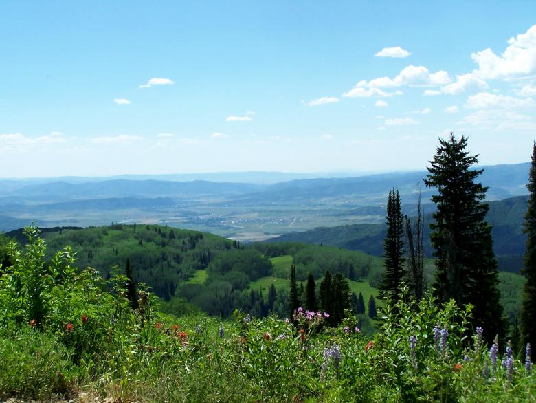 Free stock image of Landscpe created by casey carpenter
