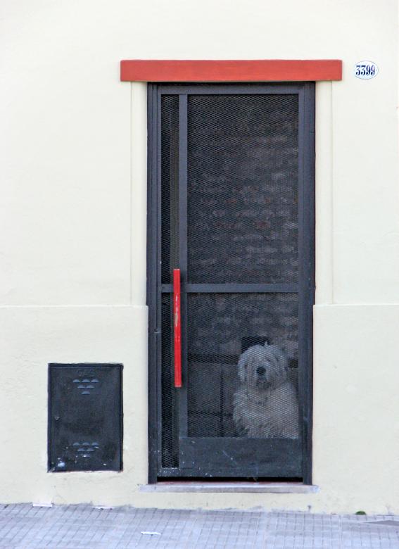 Free stock image of Closed Dog created by Barbara Din