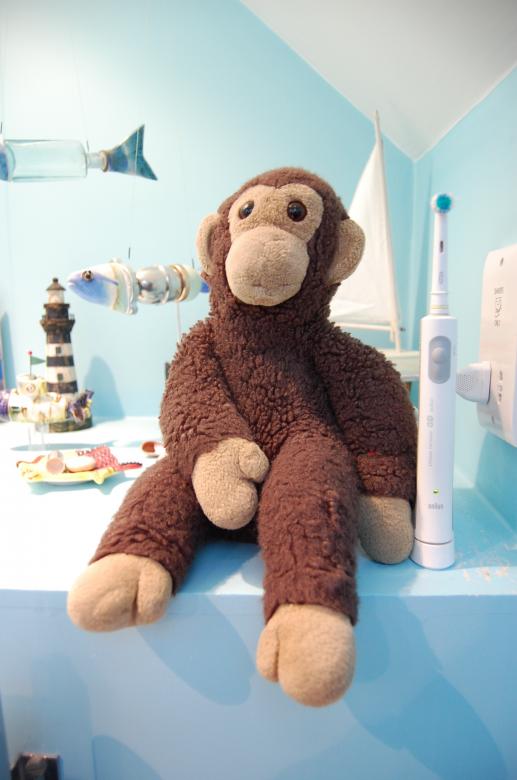 Free stock image of Stuffed monkey created by Caitlin
