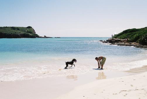 Woman and dog - Free Stock Photo