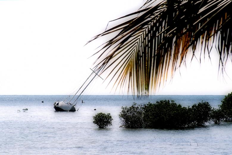Free stock image of Trouble at the sandbar created by Jesus Baez
