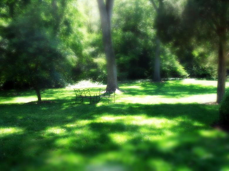 Free stock image of Peace in Nature created by Suvro Khan