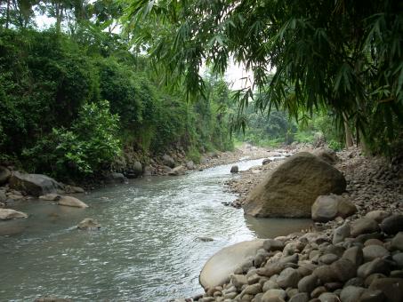 Free Stock Photo of The River