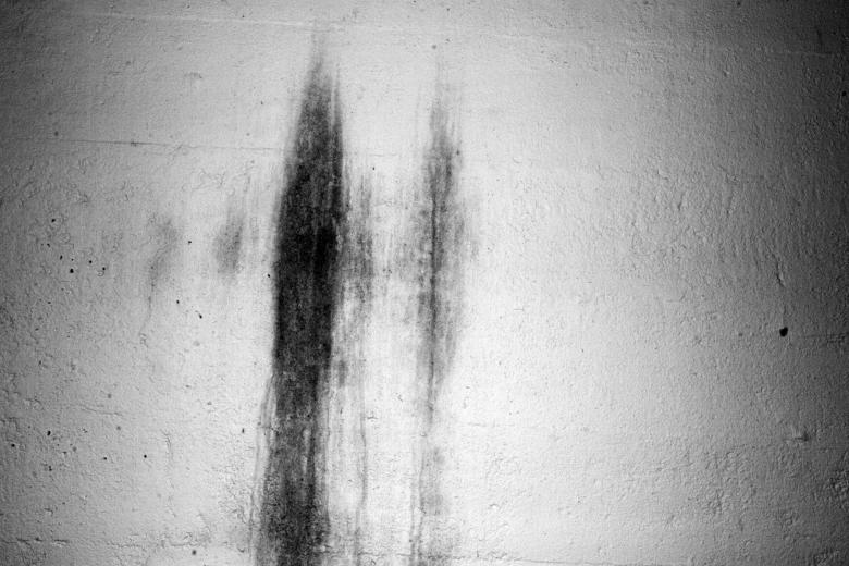 Free stock image of Grunge wall texture created by Bjorgvin