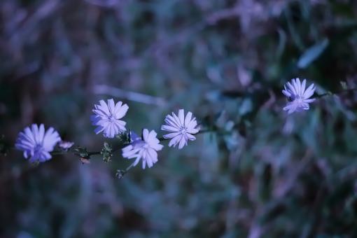 In the blue - Free Stock Photo