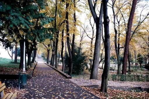 In the park - Free Stock Photo