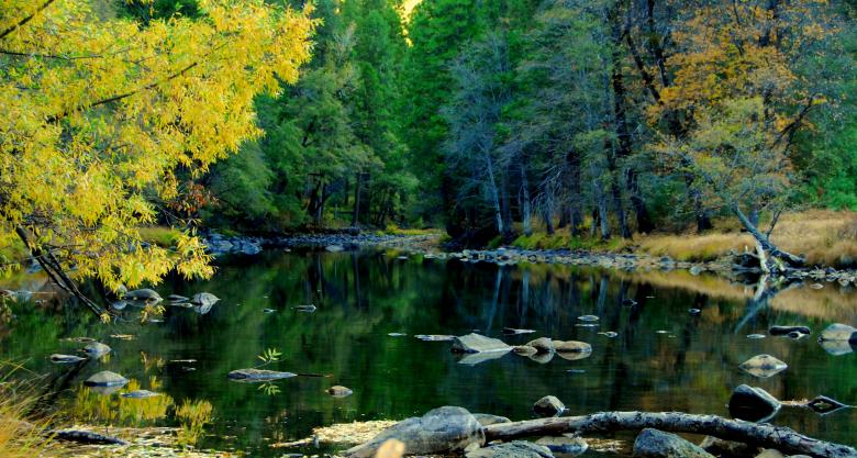 Free stock image of Yosemite National Park created by Ajith