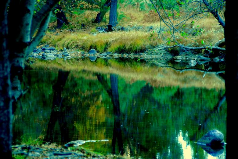 Free stock image of Yosemite National Park created by Ajith