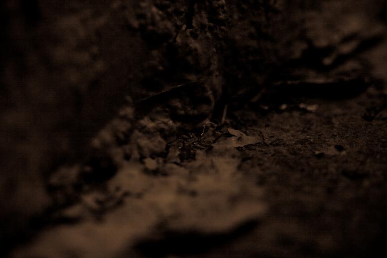 Free stock image of Dirty texture created by Bjorgvin