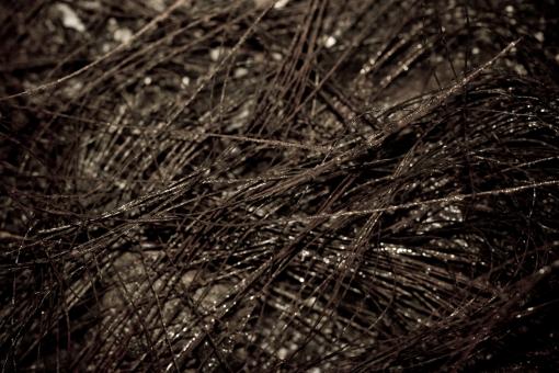 Free Stock Photo of Rusted metallic wires