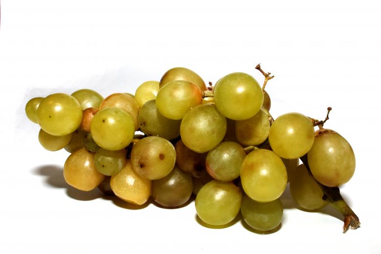Free stock image of Rotten vine cluster created by Alexandr
