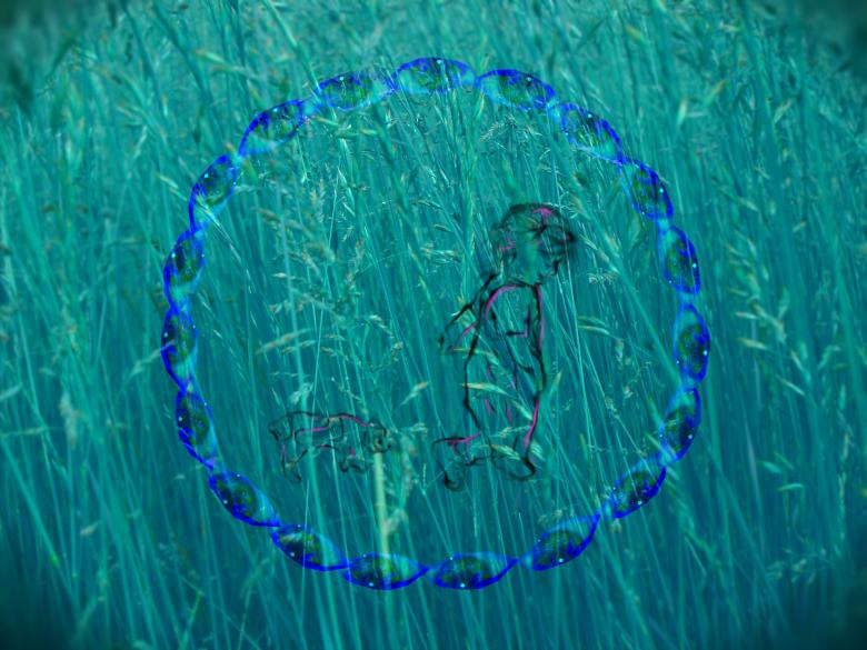 Free stock image of Through the looking grass created by Lokigrl616