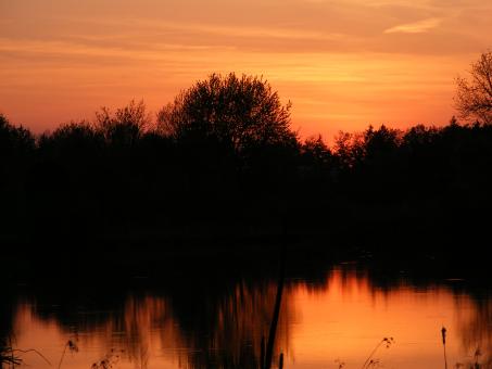 Sunset - Free Stock Photo